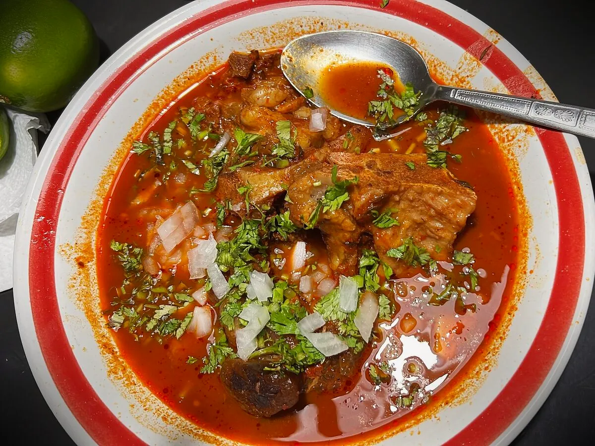 A plate of beef birria served with consommé.